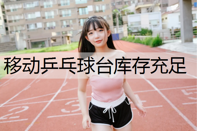 移动乒乓球台库存充足